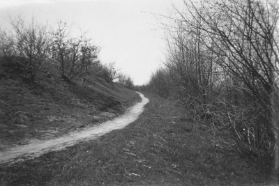 805425 Gezicht op een wandelpad langs (waarschijnlijk) de Grebbelinie in de omgeving van Woudenberg of Scherpenzeel.